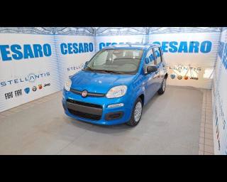 FIAT New Panda usata, con Airbag laterali