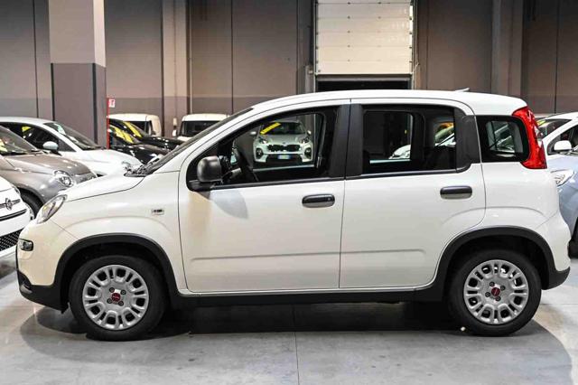 FIAT Panda usata, con Climatizzatore