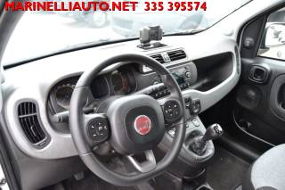 FIAT Panda usata, con Controllo trazione