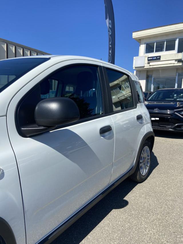 FIAT Panda usata 22