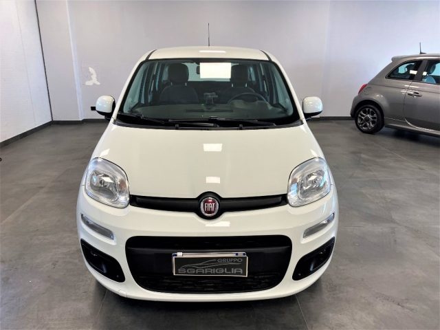 FIAT Panda usata, con Airbag Passeggero