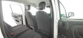 FIAT Panda usata 44