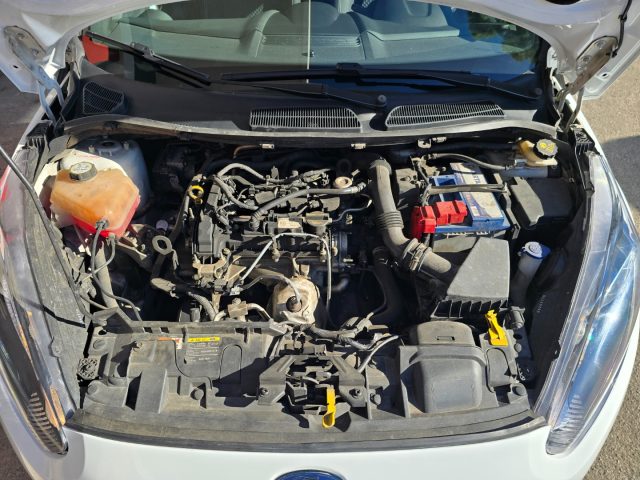 FORD Fiesta usata 84