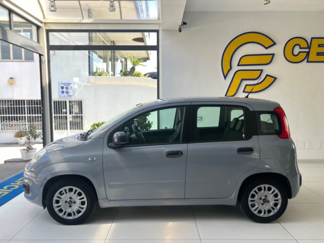 FIAT Panda usata, con Airbag Passeggero