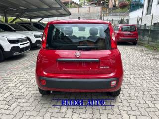 FIAT Panda usata, con Alzacristalli elettrici