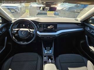 SKODA Octavia usata, con ESP