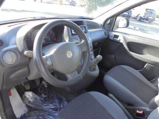 FIAT Panda usata 21