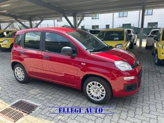 FIAT Panda usata, con Airbag