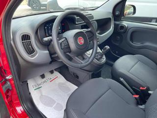 FIAT Panda usata, con Climatizzatore