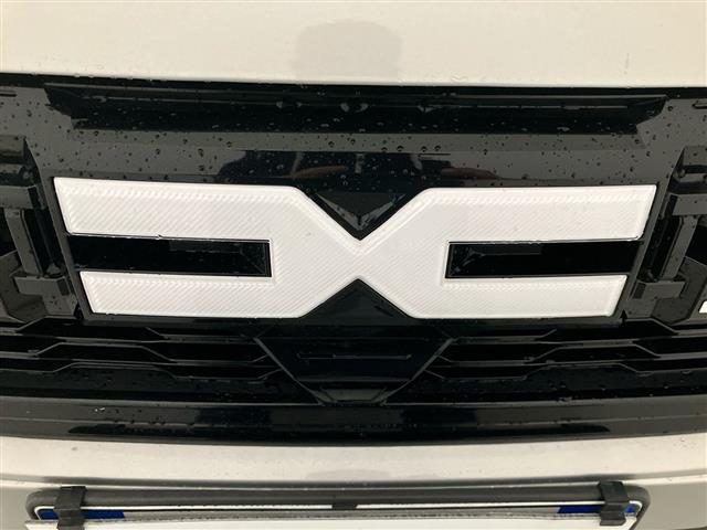 DACIA Jogger usata 23