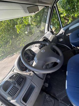FIAT  usata 8