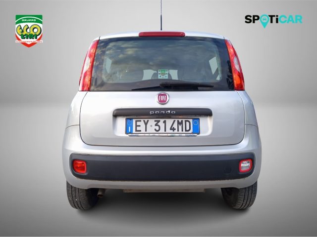 FIAT Panda usata, con Chiusura centralizzata