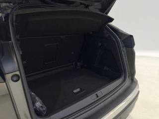 PEUGEOT 3008 usata, con Fendinebbia