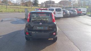 FIAT Panda usata, con Antifurto