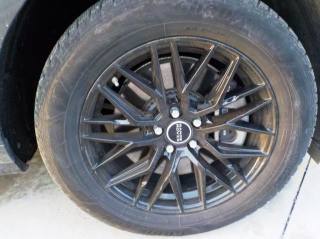 LAND ROVER Range Rover Evoque usata, con Cruise Control