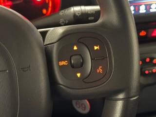 FIAT Panda Cross usata, con Airbag testa