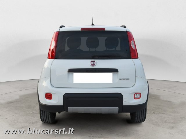 FIAT Panda usata 4