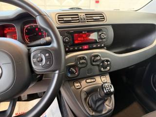 FIAT Panda usata, con Servosterzo