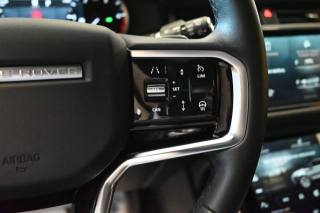 LAND ROVER Range Rover Evoque usata 131