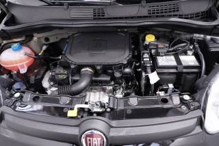 FIAT New Panda usata 29