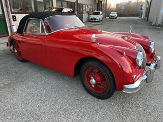 JAGUAR XK usata 2