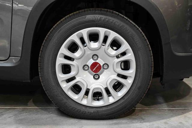 FIAT Panda usata, con Controllo trazione