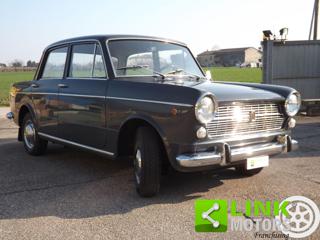 FIAT 1100 usata 1