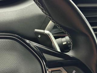 PEUGEOT 3008 usata 25