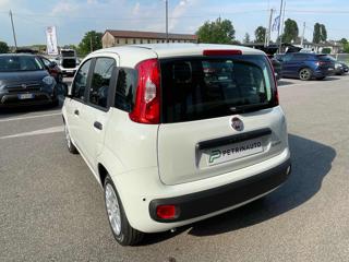 FIAT Panda usata, con Controllo trazione
