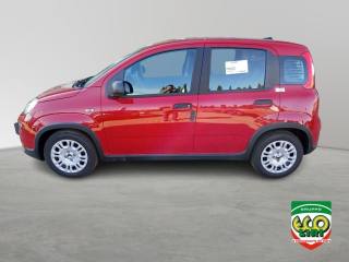 FIAT Panda usata, con Airbag Passeggero