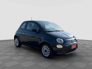 FIAT 500 usata 6