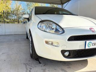 FIAT Punto usata 36
