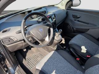 LANCIA Ypsilon usata 8