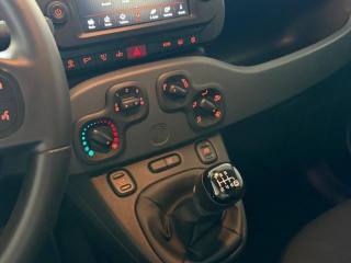 FIAT Panda Cross usata, con Sensori di parcheggio posteriori