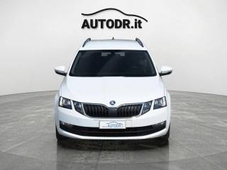 SKODA Octavia usata, con Fendinebbia