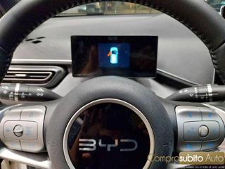 BYD Dolphin usata, con Servosterzo