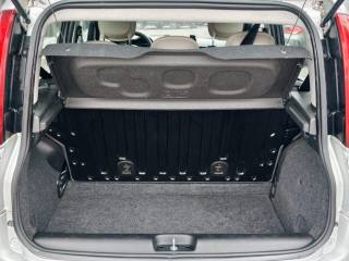 FIAT Panda usata, con Fendinebbia