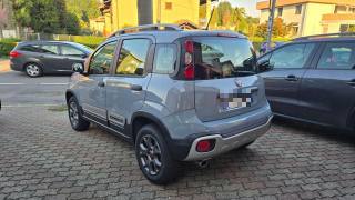 FIAT Panda Cross usata, con Alzacristalli elettrici