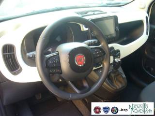 FIAT Panda Cross usata, con Controllo elettronico della corsia