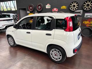 FIAT Panda usata, con Alzacristalli elettrici