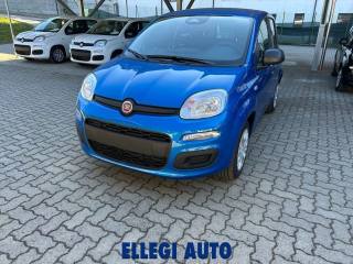 FIAT Panda usata, con Airbag