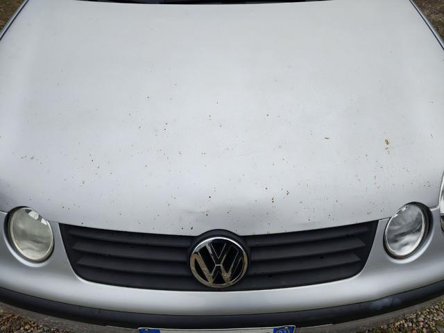 VOLKSWAGEN Polo usata, con Pneumatici estivi