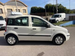 FIAT Panda usata 4