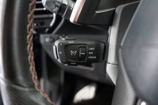 DS AUTOMOBILES DS 7 usata 54