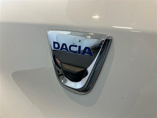DACIA Spring usata 24