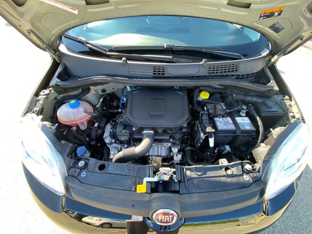 FIAT Panda usata 31