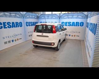 FIAT Panda usata, con Airbag Passeggero