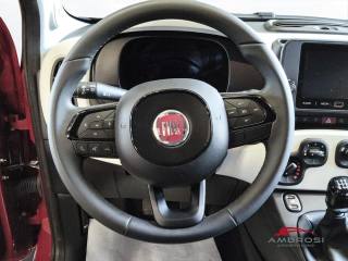 FIAT Panda usata 13