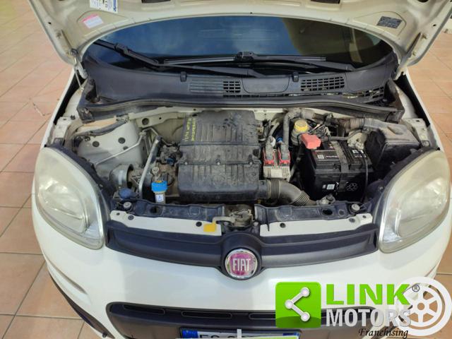 FIAT Panda usata 12