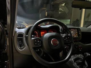 FIAT Panda usata, con Controllo trazione